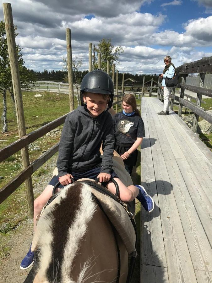 Luxury Cabin In The Mountains With All Facileties Sonstebo Eksteriør bilde